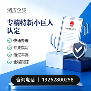 鄂尔多斯专精特新小巨人申报服务