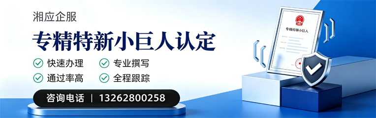 鄂尔多斯专精特新小巨人申报服务